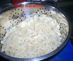 macaroni-cheese-macaroni-only.jpg