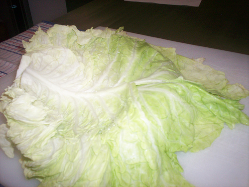 cabbage-rolls-leaf.jpg